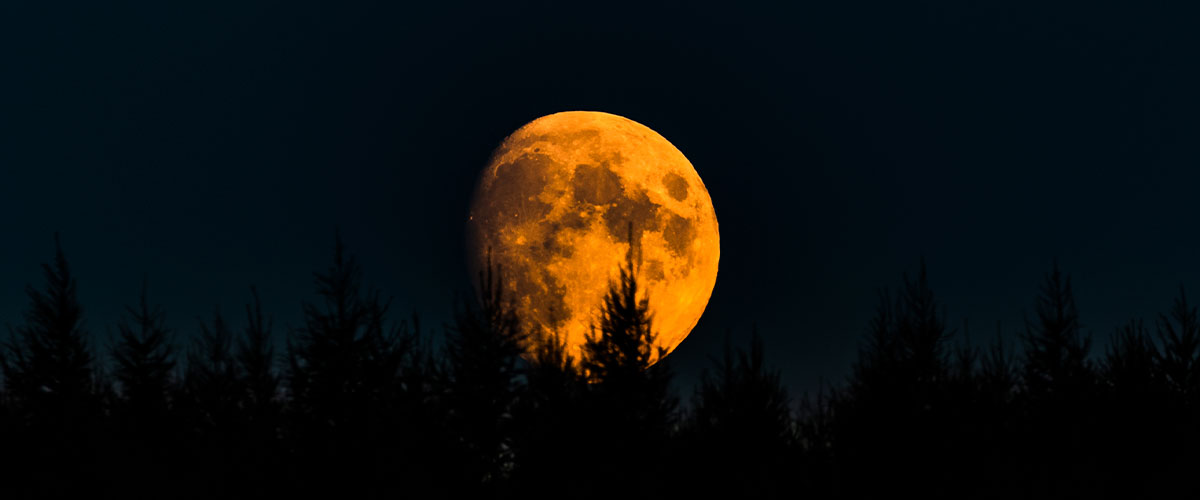 Brillo y cercanía: te explicamos los misterios que rodean a la última superluna del año 