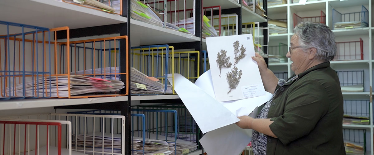 USerena digitaliza su patrimonio biológico y abre el acceso a datos científicos sobre biodiversidad