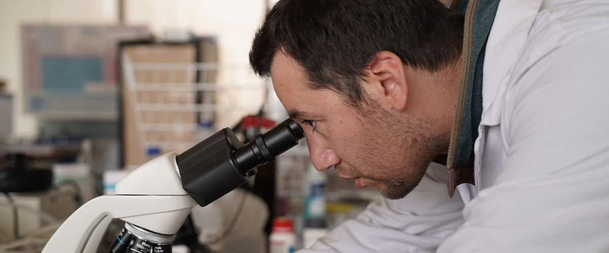 El poder de lo diminuto: Investigador de USerena impulsa energía solar con tecnología nanométrica