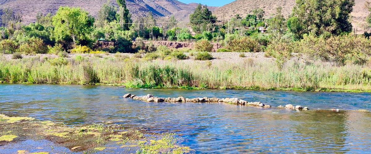 Investigan cómo el cambio climático reduce la diversidad microbiana en la cuenca del río Elqui