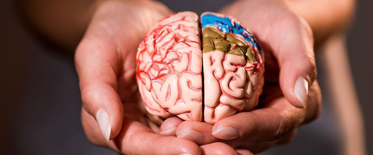 Cuando el cerebro cambia, la vida cambia: claves para comprender la neuroplasticidad