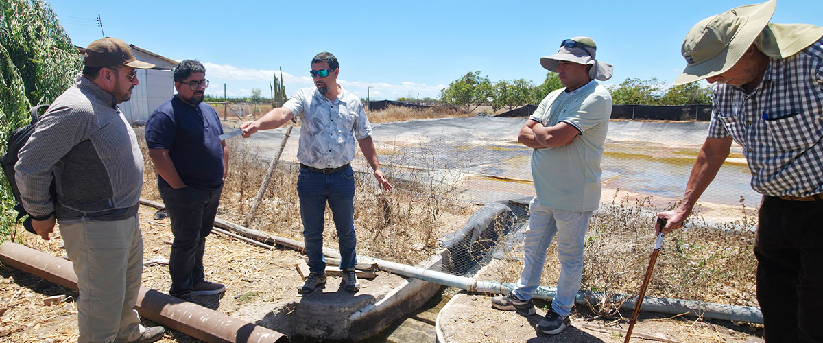 Académicos y alumnos de Ingeniería Civil Industrial desarrollan innovador sistema digital para optimizar la gestión del agua en el Canal Camarico