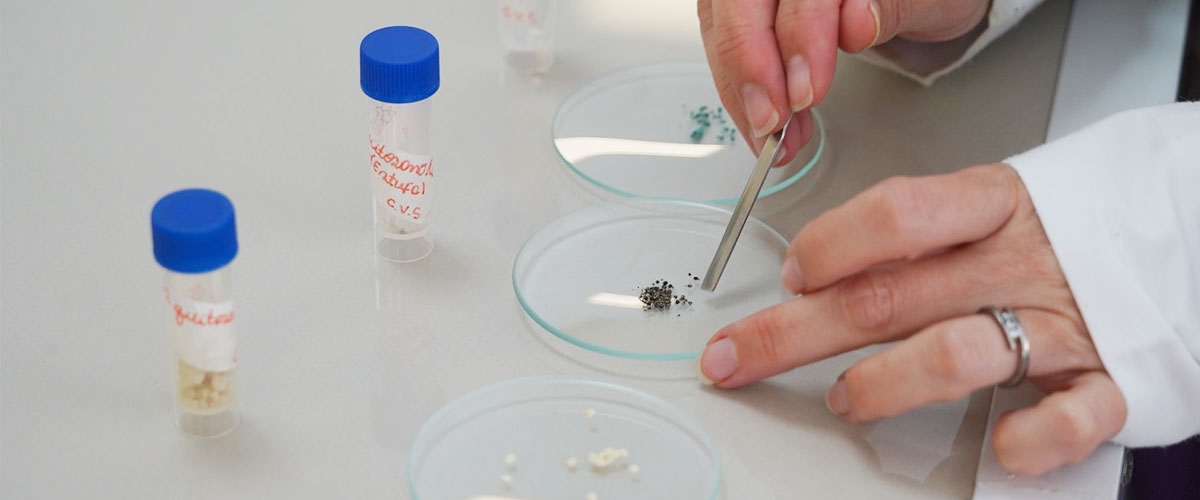 De contaminante a recurso: Investigadores de la USerena lideran estudio para reutilizar el CO₂