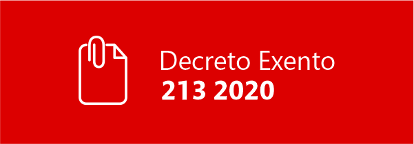 descarga decreto 213 2020