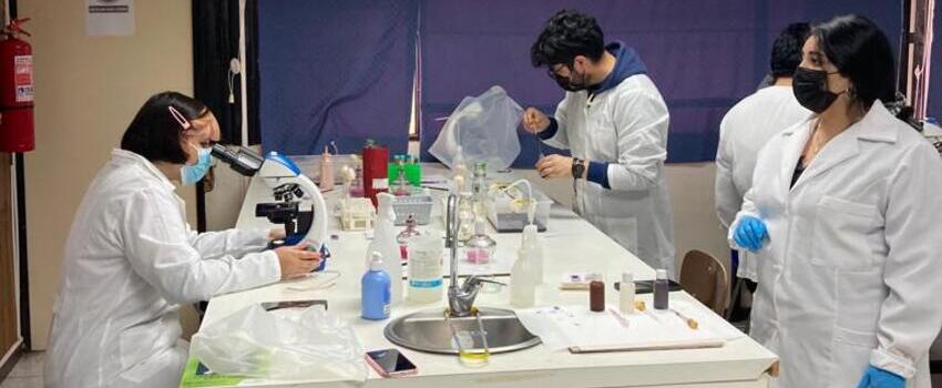 Estudiantes de Pedagogía en Biología y Cs. Naturales realizan asignaturas prácticas de laboratorio tras dos años de pandemia 