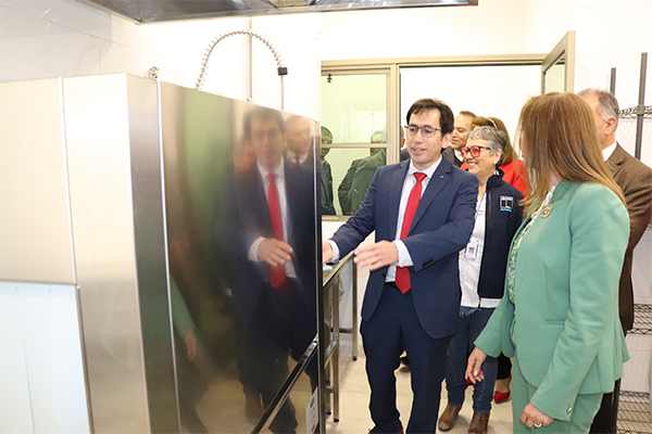 casino bello reviews