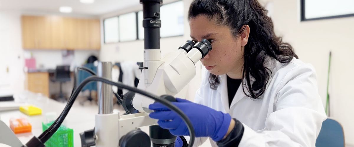 Doctorado en Biología y Ecología Aplicada de la Universidad de La Serena obtiene acreditación por 6 años