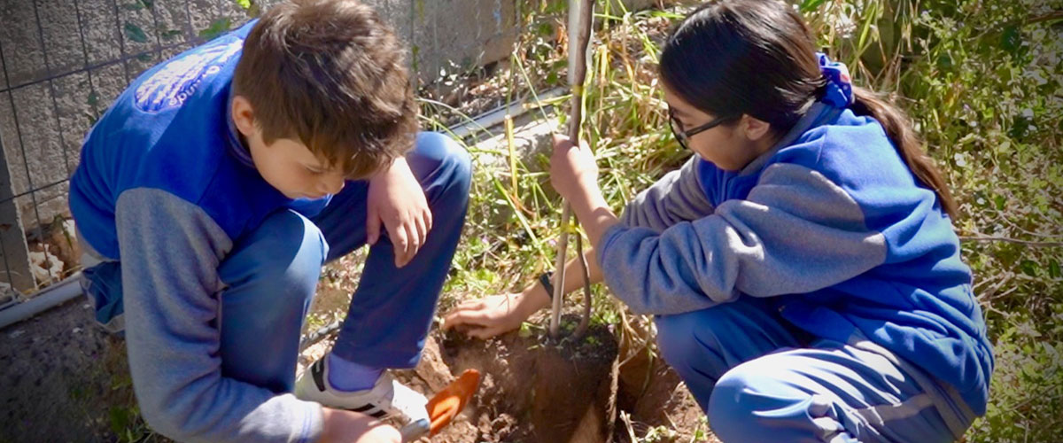 Escolares de Ovalle plantaron 100 árboles nativos para concientizar sobre el cuidado del agua 