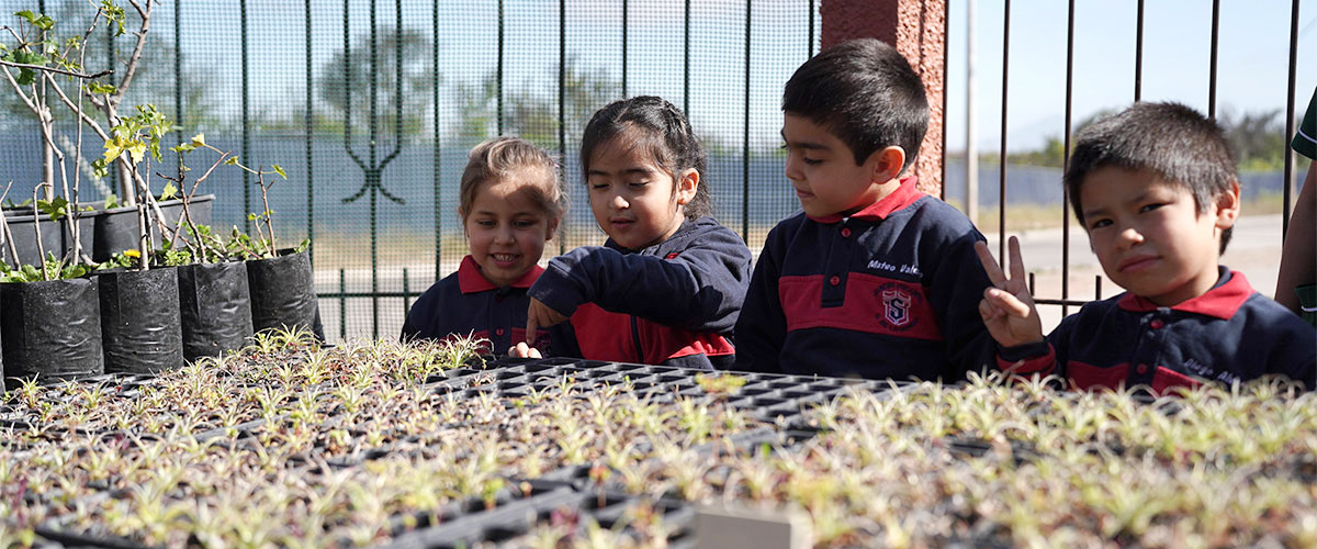 Niñas y Niños del Jardín Infantil ULS reciben plantas para cuidar y aprender sobre la naturaleza 