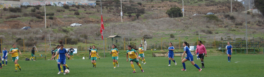 talleres deportivos2